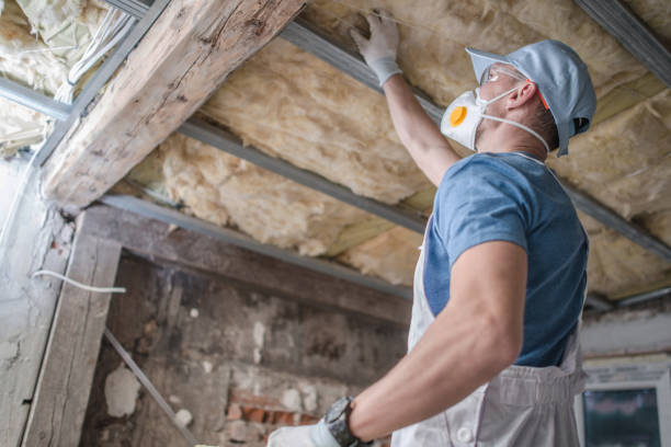 Best Insulation Inspection Services  in Moraga, CA