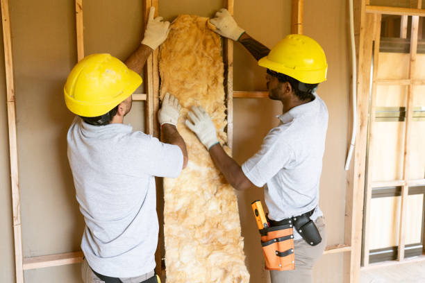 Best Professional Insulation Contractor  in Moraga, CA